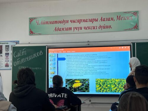 Слёт отличников: шаги в мир STEM